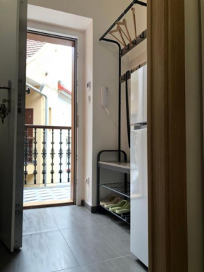 Studio apartment in Viktoria Zizkov
